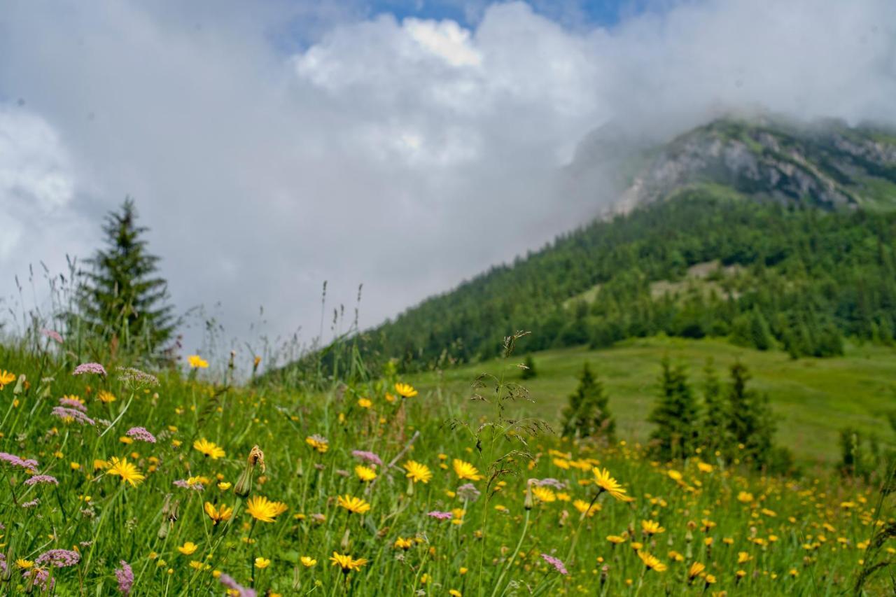 Salas Syrex Зазрива Экстерьер фото